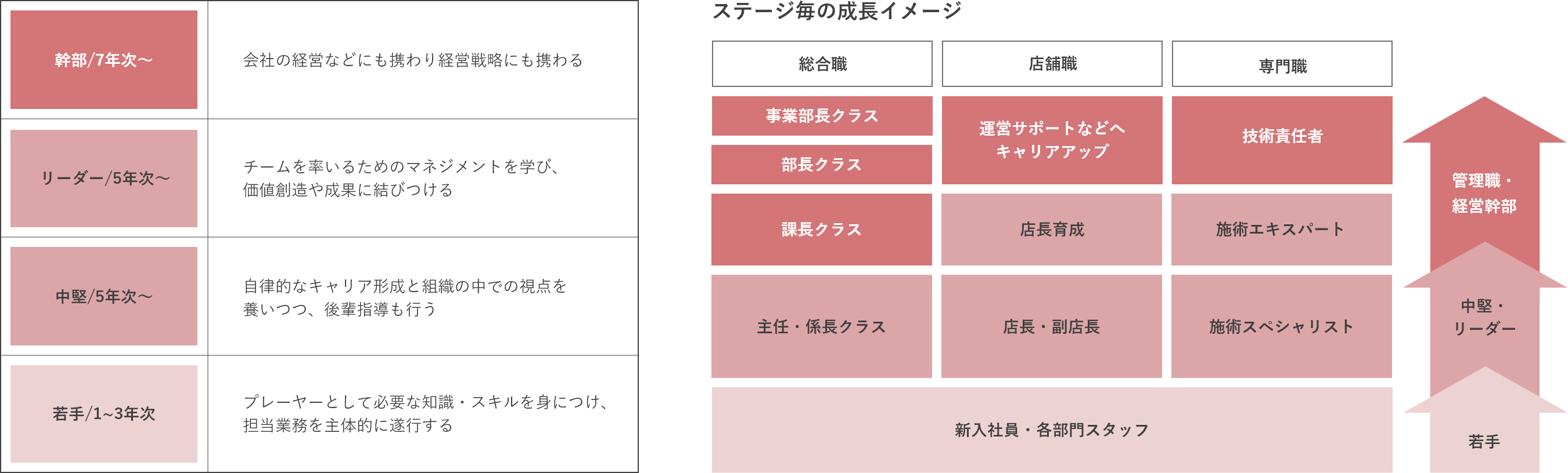 キャリアステージイメージ図｜ステージごとの成長イメージ