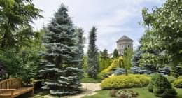 沿革 企業情報 アルペンローゼ株式会社 公式サイト